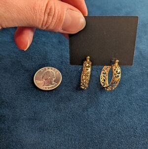 Elegant Gold Hoop Earrings